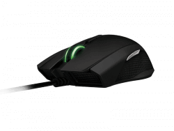 Taipan